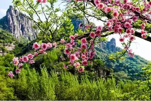 三生三世凡间片段,三生三世电影唯美镜头