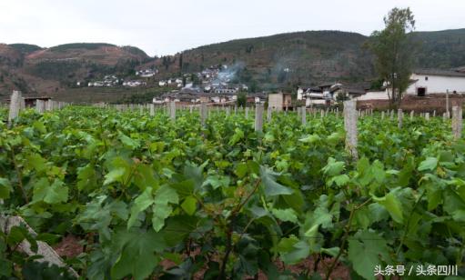 会东县姜州镇全景,会东县2030姜州镇未来规划