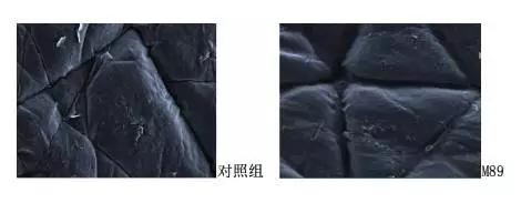 943积雪草肌底液能修复肌肤屏障吗,肌底液爆款排行榜第一名