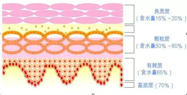 943积雪草肌底液能修复肌肤屏障吗,肌底液爆款排行榜第一名