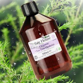 绮炬补鍜岀函闇茬殑钂搁杩囩▼,鐜懓鑺辫捀棣忕函闇插拰绮炬补