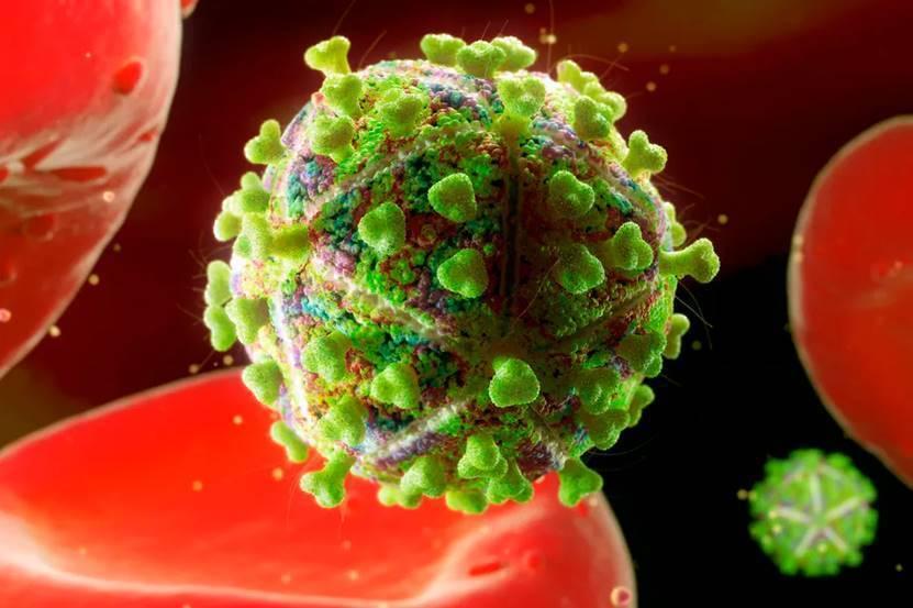 艾滋病疫苗的最新进展,艾滋病疫苗官方的最新消息