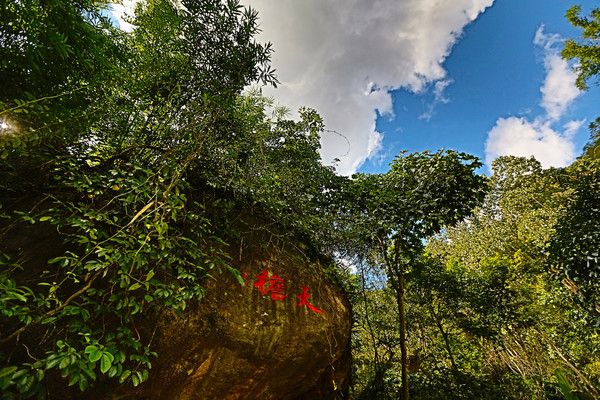 腾冲樱花谷风景区,腾冲十里樱花风景区