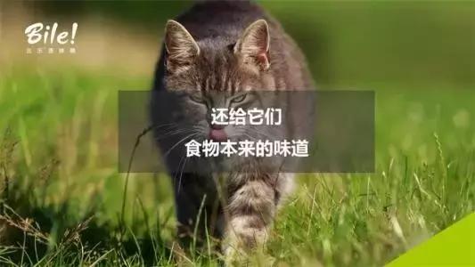 2023年pfa颁奖典礼,pfa年度最佳球员候选名单出炉