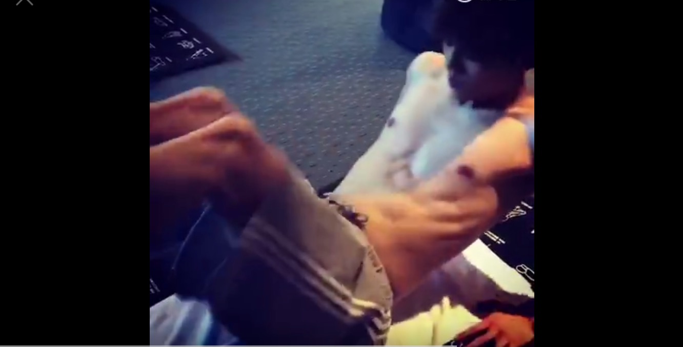 鹿晗会打乒乓球吗,鹿晗会拳击吗