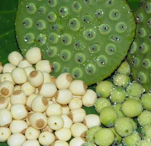 上班恐惧症一般表现为两点,上班恐惧症不知道怎么做好