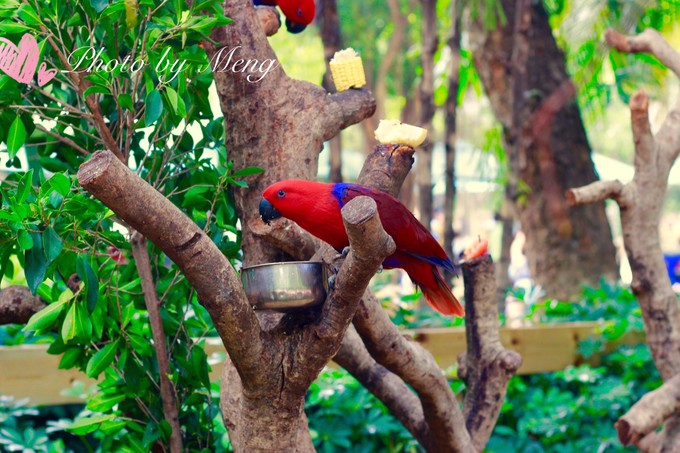 广州长隆水上乐园亲子游攻略视频,珠海长隆海洋快速通道亲子游攻略