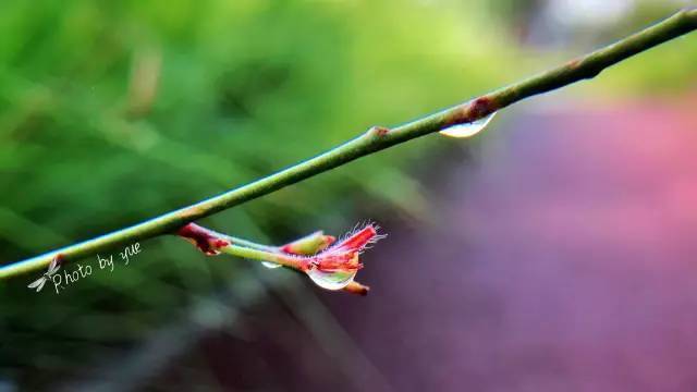 想给照片加个印章水印怎么做,如何给照片上面加印章