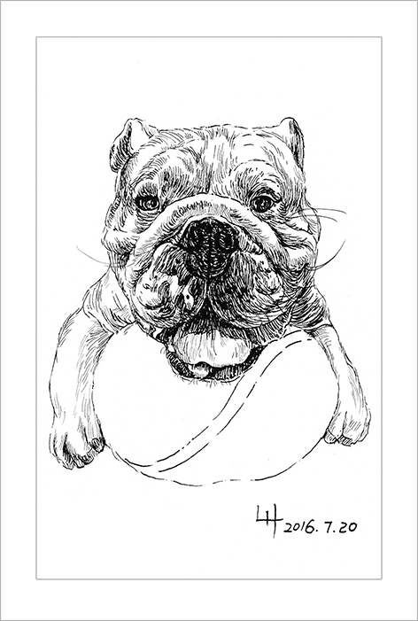 钢笔画动物昆虫,钢笔画家禽速写