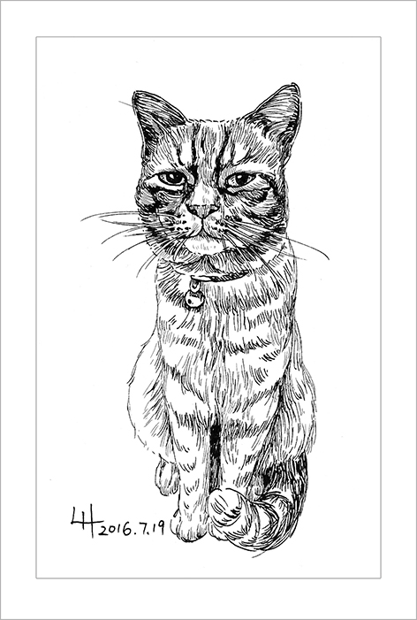 钢笔画动物昆虫,钢笔画家禽速写