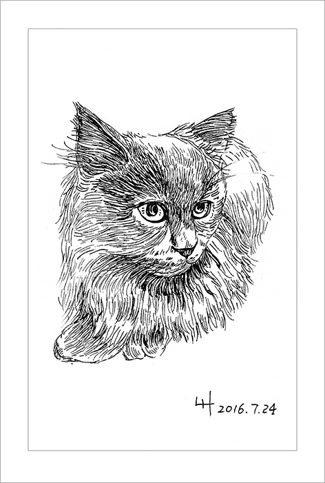 钢笔画动物昆虫,钢笔画家禽速写