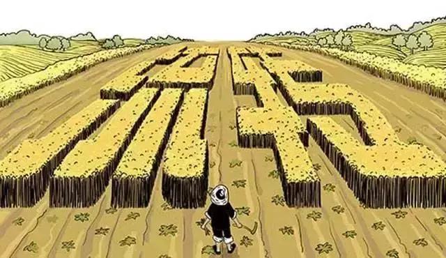 土地流转价值怎么样,土地相关案例分析