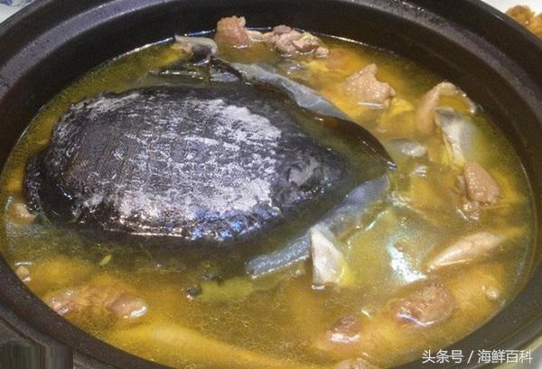 甲鱼有什么营养怎么杀,甲鱼的杀法和吃法的详细教程