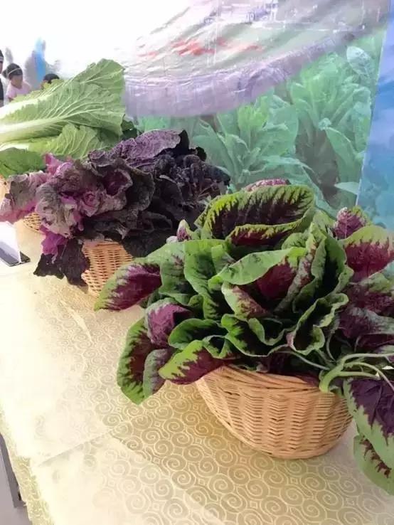 广元朝天曾家山美食,广元曾家镇美食