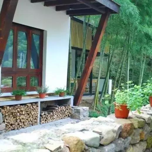 转型升级看美宿｜闲庭——任门外风吹雨打，我自胜似闲庭信步