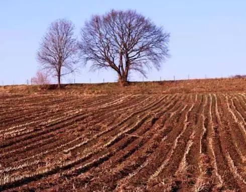 农民土地被占,土地是农民的根本命脉