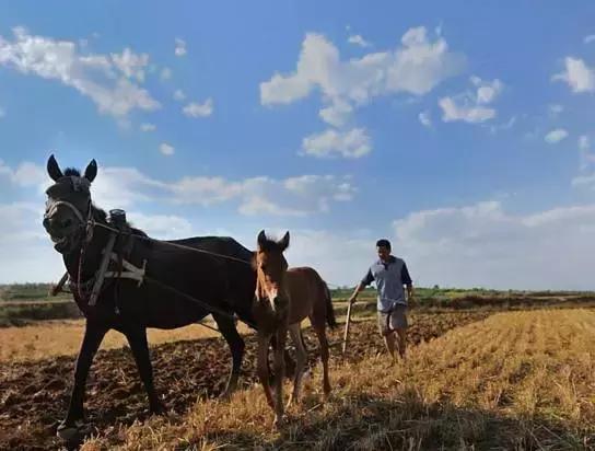 农民土地被占,土地是农民的根本命脉