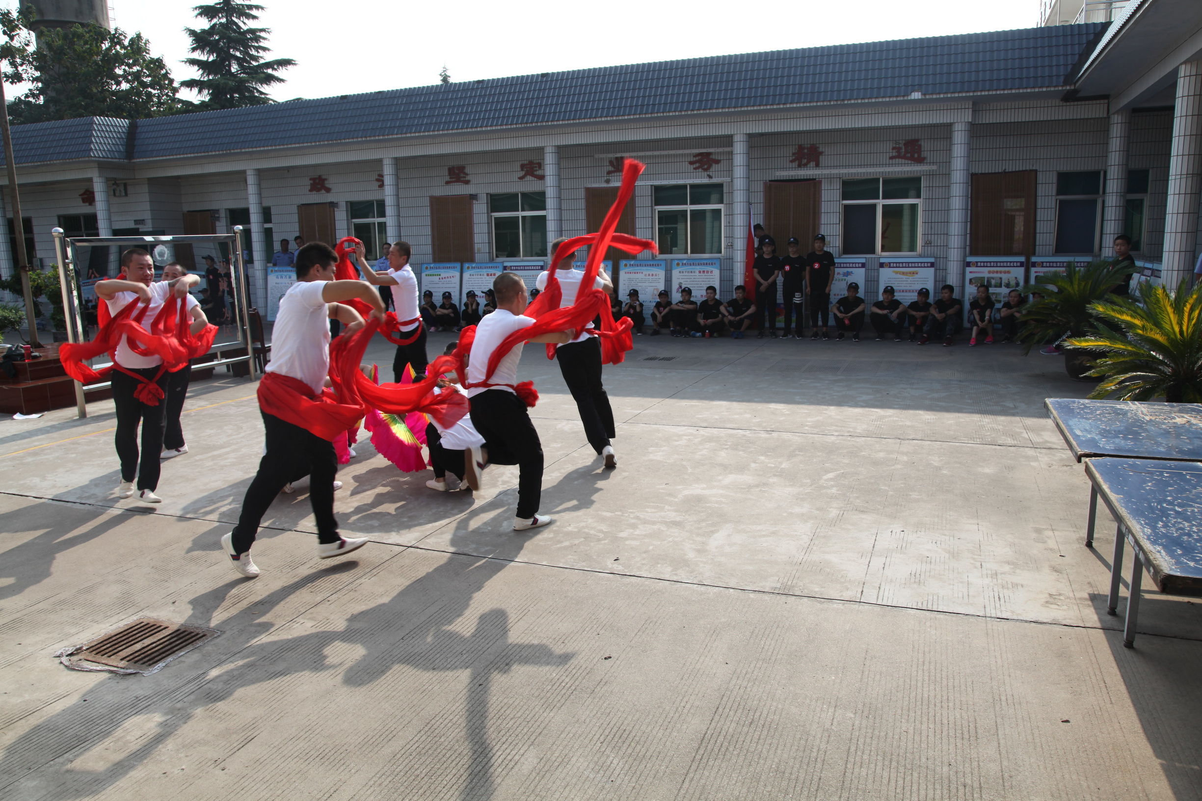 警察特训营挑战金盾,警察特训营警犬训练