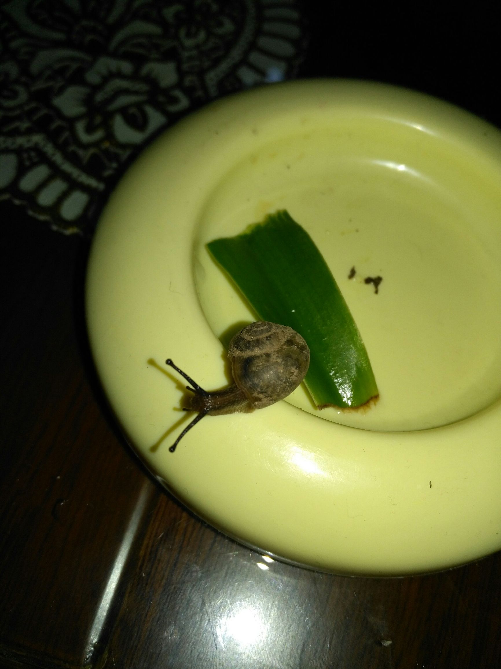 有图有真相搞笑,有图有真相分享