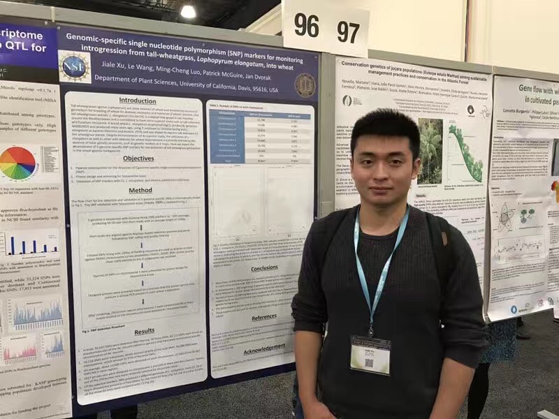 漂洋过海来看您,漂洋过海来看你浙江