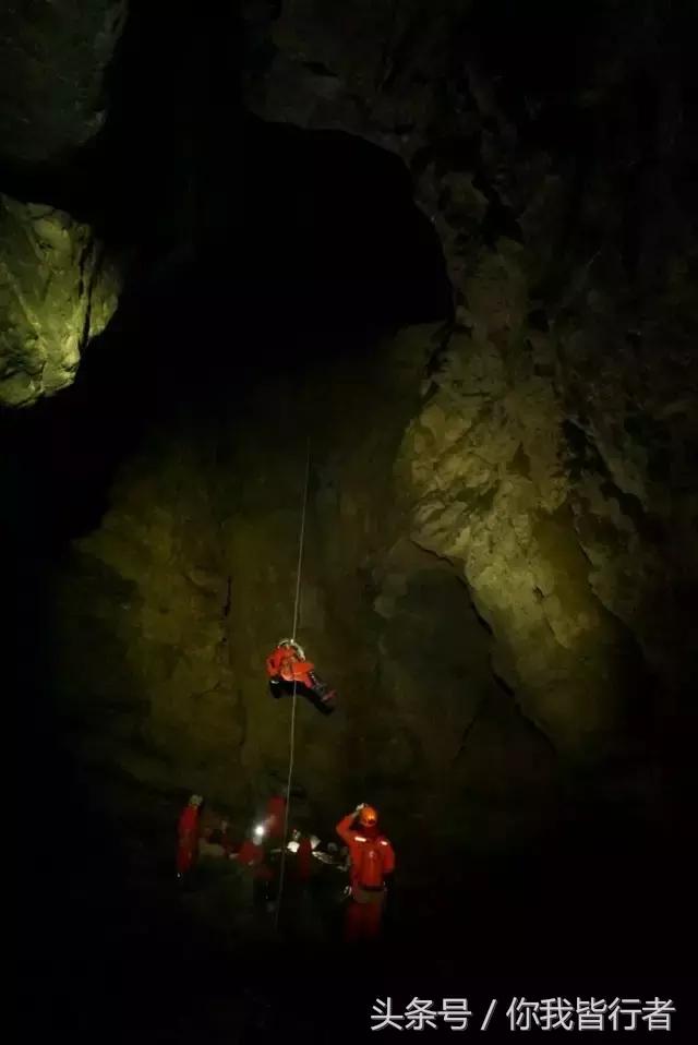 在深达数百米的天坑，大熊猫曾经到此一游