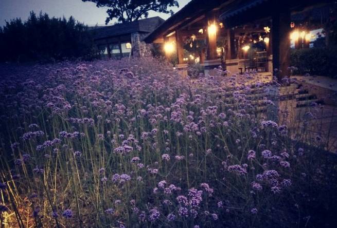 大众点评美食推荐排行榜最新,南京美食大众点评