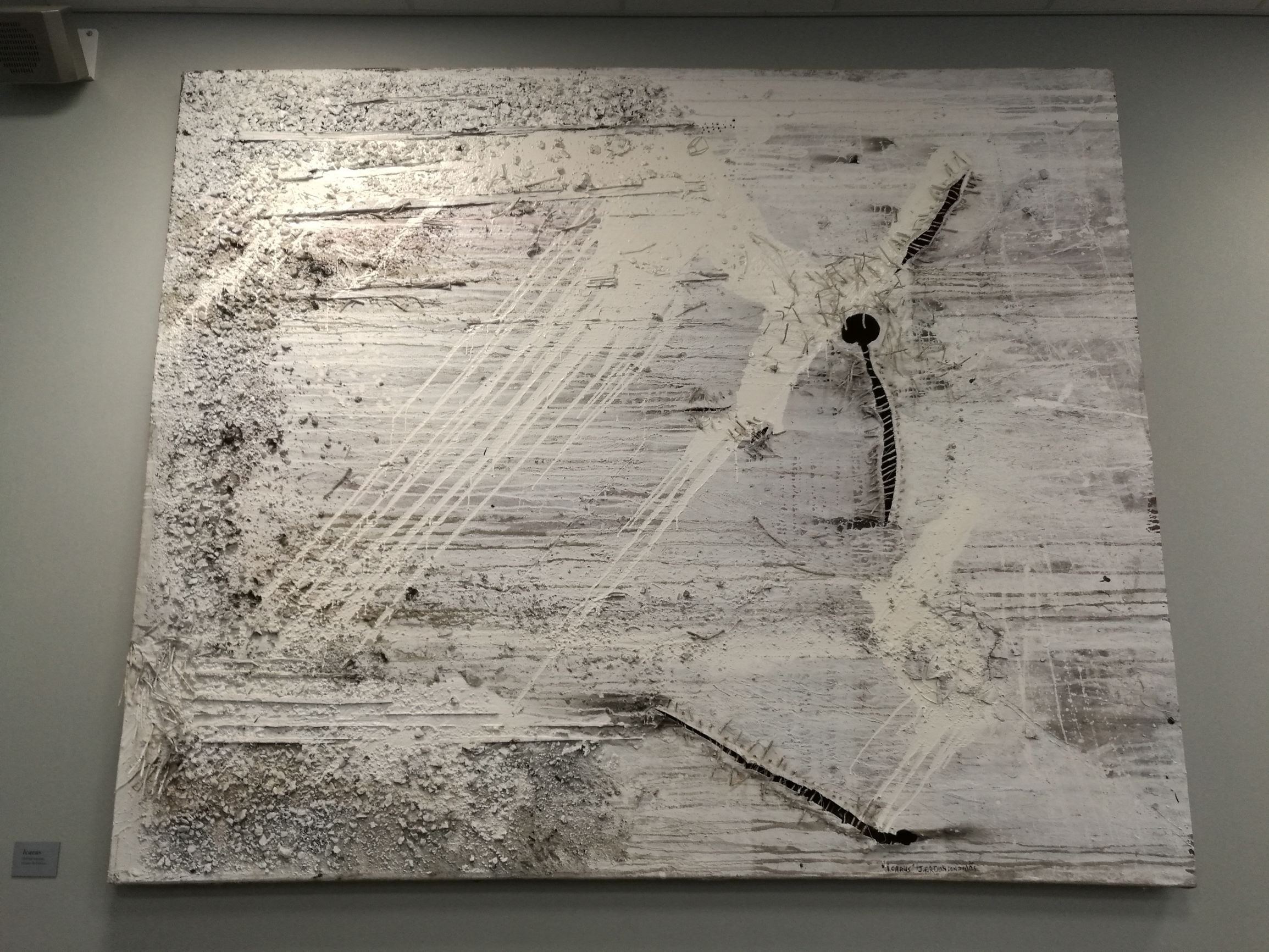 新西兰但尼丁城市介绍,新西兰哪个城市比较宜居