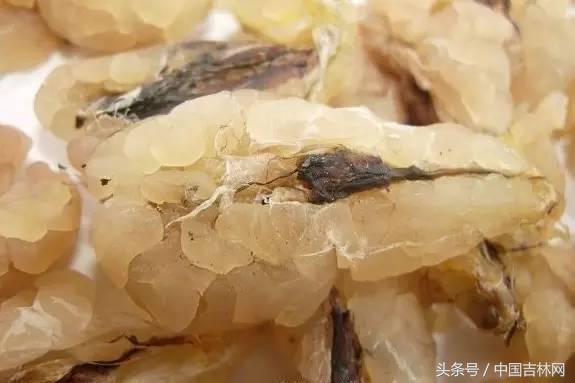 到吉林玩买啥、吃啥?再也不用刘烨代购吉林土特产了!