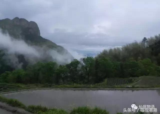 台州的公盂村,浙江省仙居县田市镇公盂村