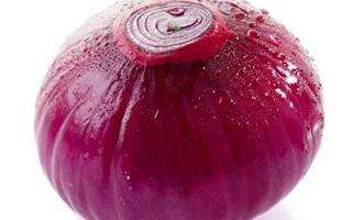 洋葱对男性有好处吗,洋葱对男性好处