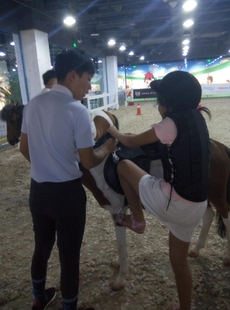 初学骑马的技巧视频,新手骑马的基本要领有哪些呢