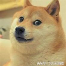 装13被人打脸,装13被拆穿了怎么办