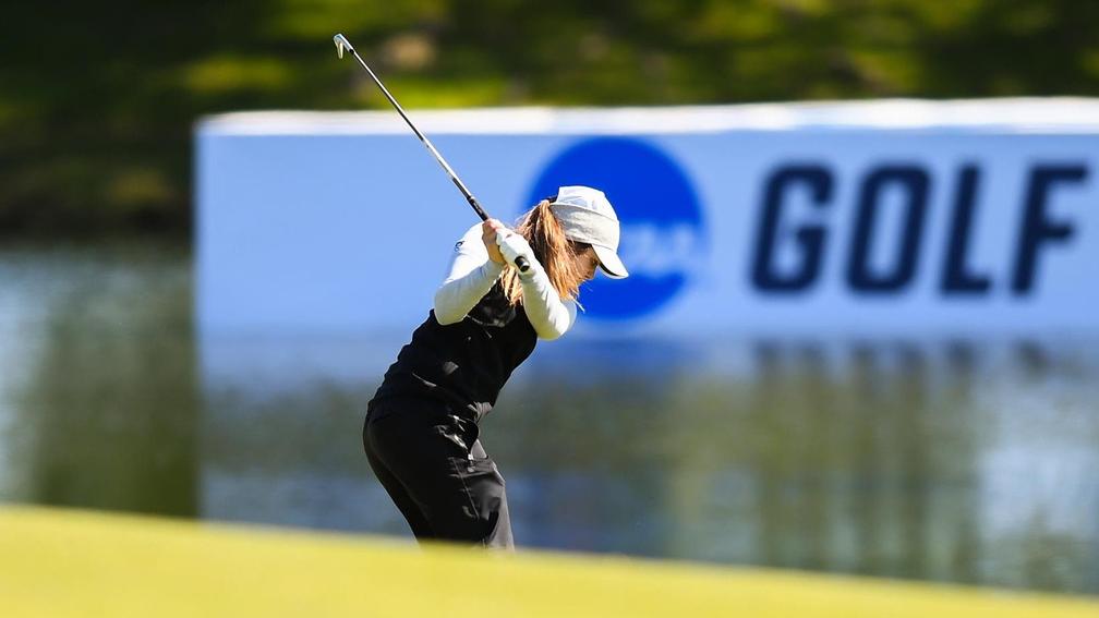 道听：NCAADI、DII、DIII，究竟哪类大学更加适