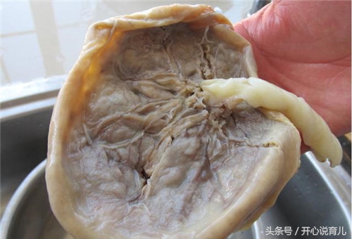 产后胎盘你们都怎么处置,胎盘你们怎么处置