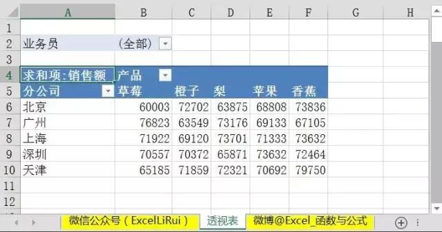 EXCEL2016数据透视表经典布局,excel技巧数据透视表教程