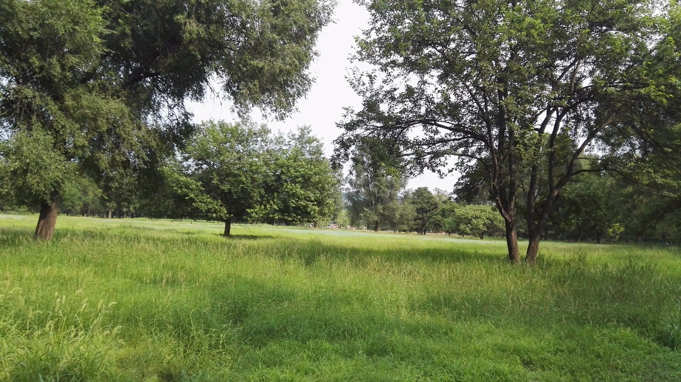 承德15人的民宿推荐,承德紫塞网农家院攻略