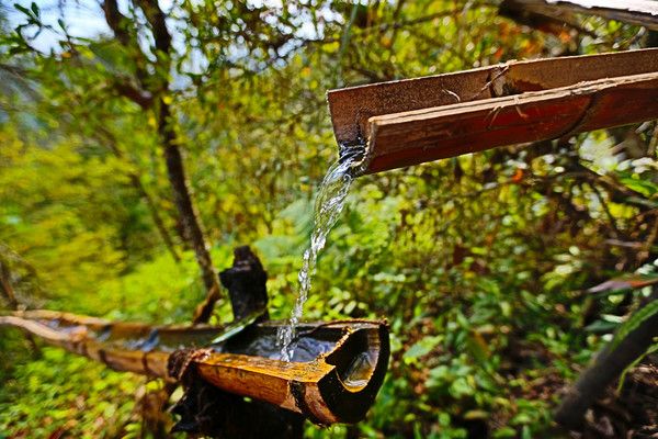 腾冲樱花谷风景区,腾冲十里樱花风景区