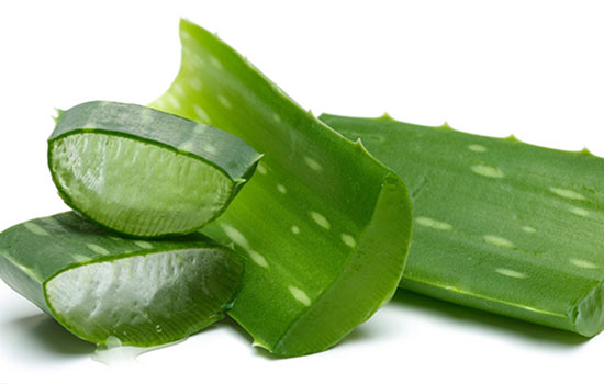 芦荟胶怎样使用正确呢,芦荟胶怎么使用才是正确的