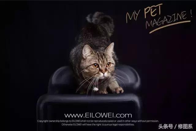 修图师会用哪些修图软件,修图师都用ps么