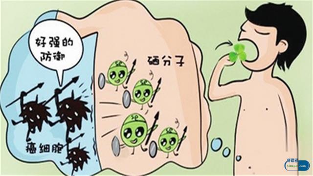 硒酵母片是救命药吗,康恩贝硒片60粒补硒有机硒酵母片