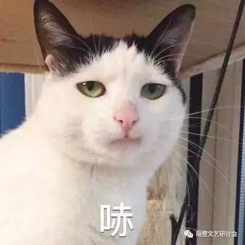 郑爽写书发旧糖？对不起，分手以后的打扰都叫“炒作”