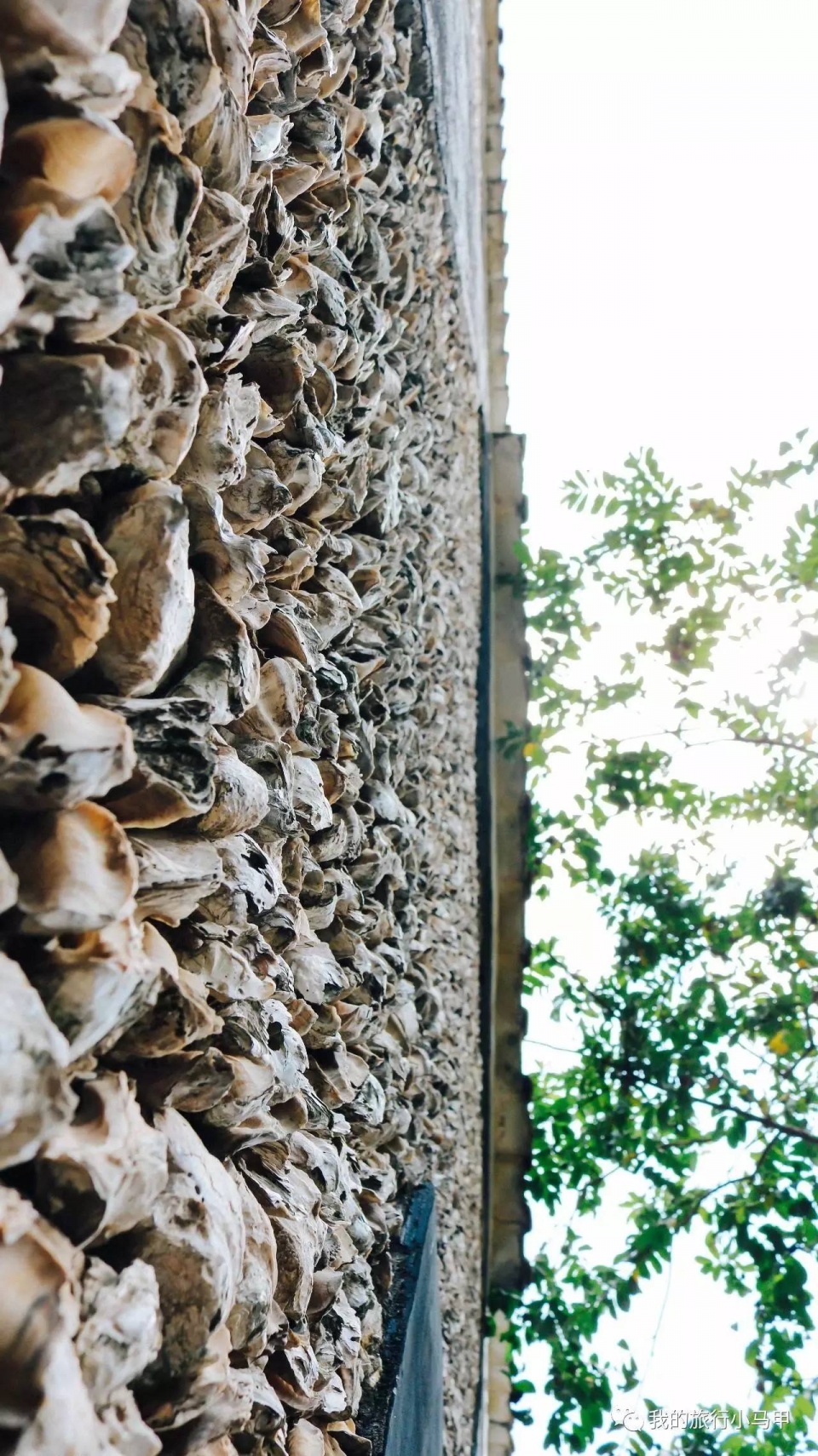 珠海长隆野生动物园旅游攻略,广州长隆自驾游旅游攻略