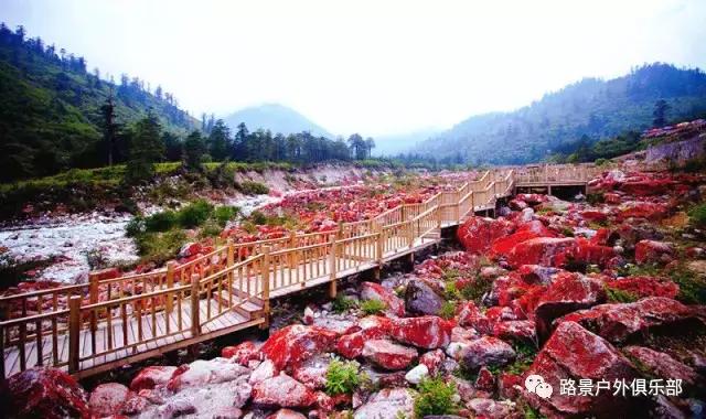 路景，江湖集结令