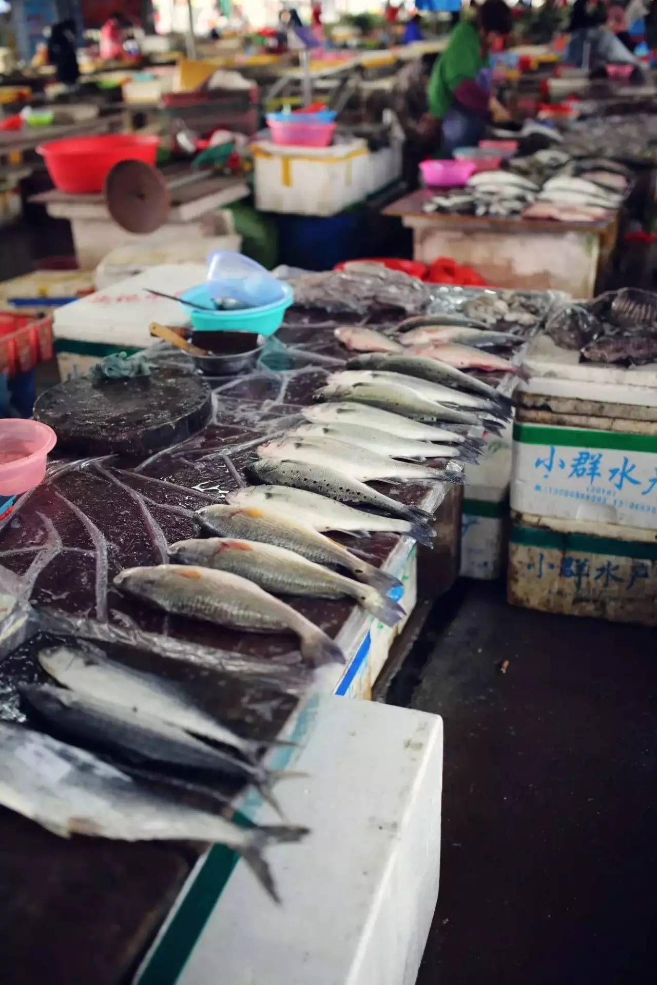 开海不开海去饭店吃海鲜有区别吗,开海了南宁去哪里买海鲜