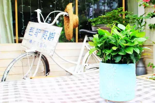 媲美鼓浪屿！深圳竟藏着一个文艺拍照圣地，海滨花火刷爆朋友圈！