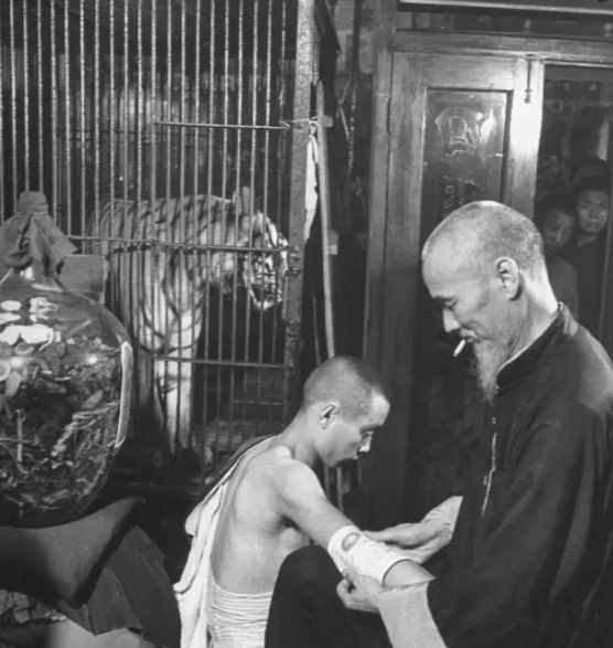 民国时期中药店,敢养这个动物,药店老板胆子太大了!