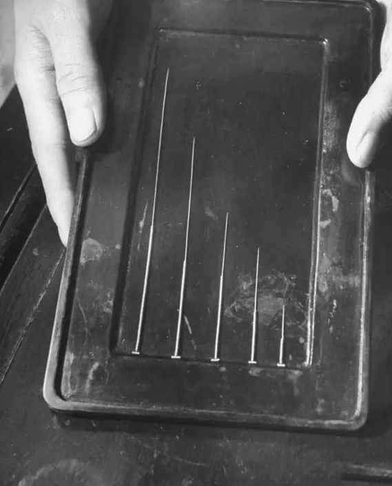 民国时期中药店,敢养这个动物,药店老板胆子太大了!