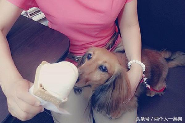 女子养了只贪吃腊肠有吃的都分给它，不听建议她在医院里后悔不迭