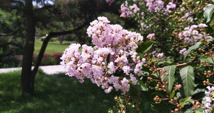 异形全面屏简洁系统UI美人尖夏普AQUOSS2评测体验