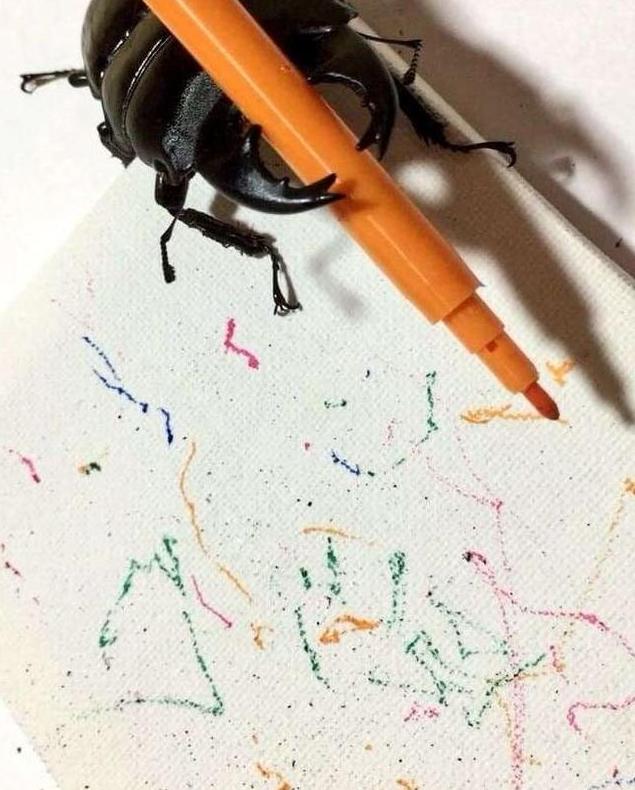 你养的宠物只会花钱,人家日本美女养的宠物会画画,还能挣钱